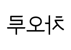 KPOP FIESTAR(피에스타、ピエスタ) 차오루 (チャオ・ルー) コンサート用　応援ボード・うちわ　韓国語/ハングル文字型紙 左右反転