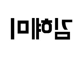 KPOP FIESTAR(피에스타、ピエスタ) 혜미 (ヘミ) k-pop アイドル名前 ファンサボード 型紙 左右反転