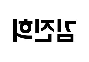 KPOP FIESTAR(피에스타、ピエスタ) 재이 (ジェイ) k-pop アイドル名前 ファンサボード 型紙 左右反転