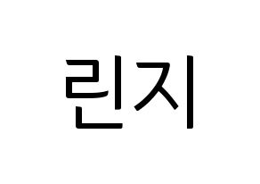 KPOP FIESTAR(피에스타、ピエスタ) 린지 (リンジ) コンサート用　応援ボード・うちわ　韓国語/ハングル文字型紙 通常
