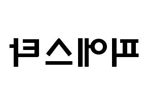 KPOP歌手 FIESTAR(피에스타、ピエスタ) 応援ボード型紙、うちわ型紙　韓国語/ハングル文字 左右反転