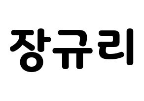 KPOP fromis_9(프로미스_9、プロミスナイン) 장규리 (ギュリ) 応援ボード・うちわ　韓国語/ハングル文字型紙 通常