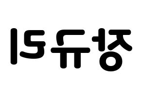 KPOP fromis_9(프로미스_9、プロミスナイン) 장규리 (ギュリ) 応援ボード・うちわ　韓国語/ハングル文字型紙 左右反転