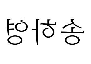 KPOP fromis_9(프로미스_9、プロミスナイン) 송하영 (ハヨン) 応援ボード・うちわ　韓国語/ハングル文字型紙 左右反転