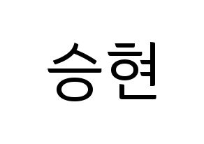 KPOP FTISLAND(FT아일랜드、エフティー・アイランド) 송승현 (ソン・スンヒョン) コンサート用　応援ボード・うちわ　韓国語/ハングル文字型紙 通常