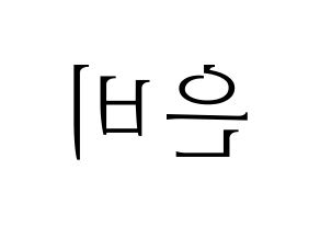 KPOP GFRIEND(여자친구、ジーフレンド) 신비 (シンビ) 応援ボード・うちわ　韓国語/ハングル文字型紙 左右反転