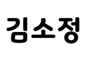 KPOP GFRIEND(여자친구、ジーフレンド) 소원 (ソウォン) 応援ボード・うちわ　韓国語/ハングル文字型紙 通常