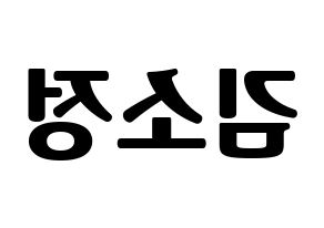 KPOP GFRIEND(여자친구、ジーフレンド) 소원 (ソウォン) コンサート用　応援ボード・うちわ　韓国語/ハングル文字型紙 左右反転