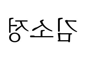 KPOP GFRIEND(여자친구、ジーフレンド) 소원 (ソウォン) 応援ボード・うちわ　韓国語/ハングル文字型紙 左右反転