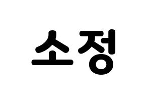 KPOP GFRIEND(여자친구、ジーフレンド) 소원 (ソウォン) 応援ボード・うちわ　韓国語/ハングル文字型紙 通常