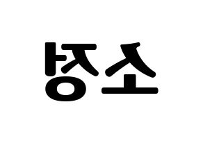 KPOP GFRIEND(여자친구、ジーフレンド) 소원 (ソウォン) コンサート用　応援ボード・うちわ　韓国語/ハングル文字型紙 左右反転