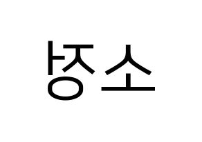 KPOP GFRIEND(여자친구、ジーフレンド) 소원 (ソウォン) プリント用応援ボード型紙、うちわ型紙　韓国語/ハングル文字型紙 左右反転