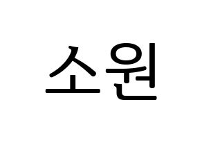 KPOP GFRIEND(여자친구、ジーフレンド) 소원 (ソウォン) プリント用応援ボード型紙、うちわ型紙　韓国語/ハングル文字型紙 通常