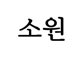 KPOP GFRIEND(여자친구、ジーフレンド) 소원 (ソウォン) プリント用応援ボード型紙、うちわ型紙　韓国語/ハングル文字型紙 通常