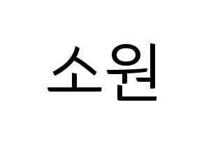 KPOP GFRIEND(여자친구、ジーフレンド) 소원 (ソウォン) コンサート用　応援ボード・うちわ　韓国語/ハングル文字型紙 通常