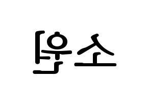KPOP GFRIEND(여자친구、ジーフレンド) 소원 (ソウォン) プリント用応援ボード型紙、うちわ型紙　韓国語/ハングル文字型紙 左右反転