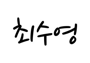 KPOP Girls' Generation(소녀시대、少女時代) 수영 (スヨン) 応援ボード ハングル 型紙  通常