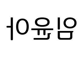 KPOP Girls' Generation(소녀시대、少女時代) 윤아 (ユナ) プリント用応援ボード型紙、うちわ型紙　韓国語/ハングル文字型紙 左右反転