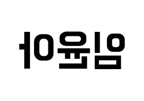 KPOP Girls' Generation(소녀시대、少女時代) 윤아 (ユナ) k-pop アイドル名前 ファンサボード 型紙 左右反転