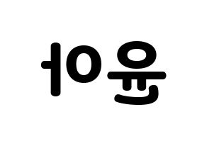 KPOP Girls' Generation(소녀시대、少女時代) 윤아 (ユナ) 応援ボード・うちわ　韓国語/ハングル文字型紙 左右反転