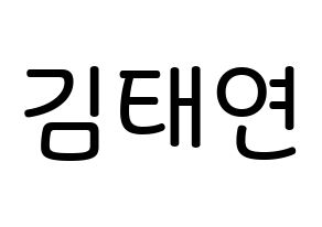KPOP Girls' Generation(소녀시대、少女時代) 태연 (キム・テヨン, テヨン) 無料サイン会用、イベント会用応援ボード型紙 通常