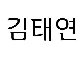 KPOP Girls' Generation(소녀시대、少女時代) 태연 (テヨン) プリント用応援ボード型紙、うちわ型紙　韓国語/ハングル文字型紙 通常
