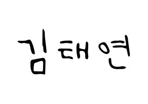 KPOP Girls' Generation(소녀시대、少女時代) 태연 (テヨン) 応援ボード ハングル 型紙  通常