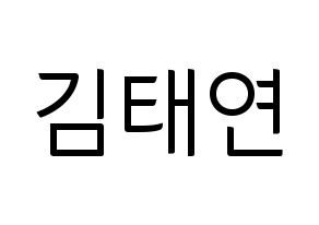 KPOP Girls' Generation(소녀시대、少女時代) 태연 (テヨン) コンサート用　応援ボード・うちわ　韓国語/ハングル文字型紙 通常