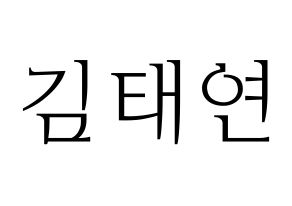 KPOP Girls' Generation(소녀시대、少女時代) 태연 (テヨン) 応援ボード・うちわ　韓国語/ハングル文字型紙 通常