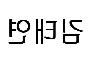 KPOP Girls' Generation(소녀시대、少女時代) 태연 (テヨン) プリント用応援ボード型紙、うちわ型紙　韓国語/ハングル文字型紙 左右反転