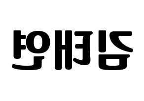 KPOP Girls' Generation(소녀시대、少女時代) 태연 (テヨン) コンサート用　応援ボード・うちわ　韓国語/ハングル文字型紙 左右反転