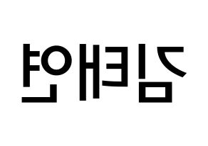 KPOP Girls' Generation(소녀시대、少女時代) 태연 (キム・テヨン, テヨン) 無料サイン会用、イベント会用応援ボード型紙 左右反転