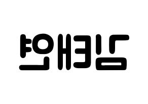KPOP Girls' Generation(소녀시대、少女時代) 태연 (キム・テヨン, テヨン) 応援ボード、うちわ無料型紙、応援グッズ 左右反転