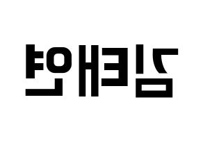 KPOP Girls' Generation(소녀시대、少女時代) 태연 (テヨン) k-pop アイドル名前 ファンサボード 型紙 左右反転