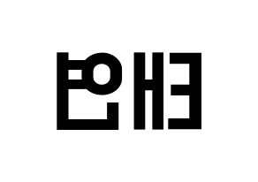 KPOP Girls' Generation(소녀시대、少女時代) 태연 (テヨン) 名前 応援ボード 作り方 左右反転