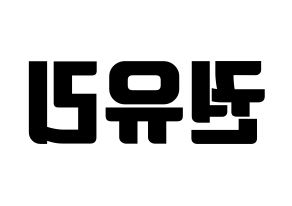 KPOP Girls' Generation(소녀시대、少女時代) 유리 (ユリ) コンサート用　応援ボード・うちわ　韓国語/ハングル文字型紙 左右反転