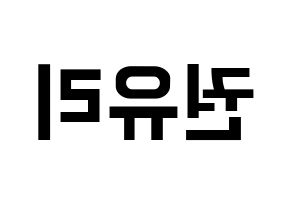 KPOP Girls' Generation(소녀시대、少女時代) 유리 (ユリ) k-pop アイドル名前 ファンサボード 型紙 左右反転