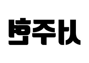 KPOP Girls' Generation(소녀시대、少女時代) 서현 (ソヒョン) コンサート用　応援ボード・うちわ　韓国語/ハングル文字型紙 左右反転