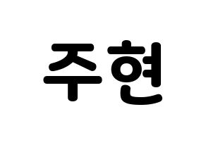 KPOP Girls' Generation(소녀시대、少女時代) 서현 (ソヒョン) 応援ボード・うちわ　韓国語/ハングル文字型紙 通常