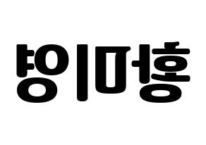 KPOP Girls' Generation(소녀시대、少女時代) 티파니 (ティファニー) コンサート用　応援ボード・うちわ　韓国語/ハングル文字型紙 左右反転