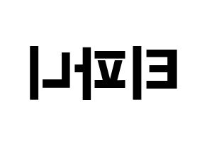 KPOP Girls' Generation(소녀시대、少女時代) 티파니 (ティファニー) k-pop アイドル名前 ファンサボード 型紙 左右反転