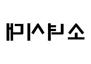 KPOP歌手 Girls' Generation(소녀시대、少女時代) 応援ボード型紙、うちわ型紙　韓国語/ハングル文字 左右反転