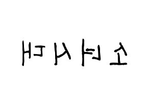KPOP Girls' Generation(소녀시대、少女時代) k-pop ファンサ ボード 型紙 左右反転