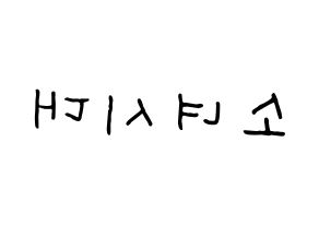 KPOP Girls' Generation(소녀시대、少女時代) k-pop 応援ボード メッセージ 型紙 左右反転