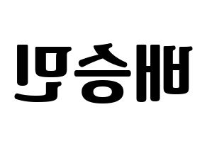 KPOP Golden Child(골든차일드、ゴールデン・チャイルド) 배승민 (スンミン) コンサート用　応援ボード・うちわ　韓国語/ハングル文字型紙 左右反転