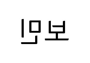 KPOP Golden Child(골든차일드、ゴールデン・チャイルド) 최보민 (ボミン) コンサート用　応援ボード・うちわ　韓国語/ハングル文字型紙 左右反転