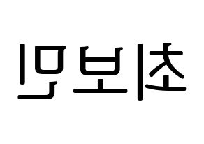 KPOP Golden Child(골든차일드、ゴールデン・チャイルド) 최보민 (ボミン) プリント用応援ボード型紙、うちわ型紙　韓国語/ハングル文字型紙 左右反転