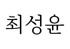 KPOP Golden Child(골든차일드、ゴールデン・チャイルド) Y (Y) 応援ボード・うちわ　韓国語/ハングル文字型紙 通常