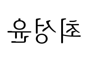 KPOP Golden Child(골든차일드、ゴールデン・チャイルド) Y (Y) 応援ボード・うちわ　韓国語/ハングル文字型紙 左右反転