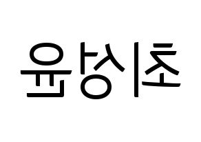 KPOP Golden Child(골든차일드、ゴールデン・チャイルド) Y (Y) コンサート用　応援ボード・うちわ　韓国語/ハングル文字型紙 左右反転